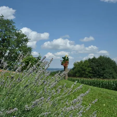 S' Kellerstoeckl 度假居