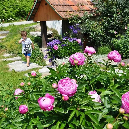 Feriehus S' Kellerstoeckl *