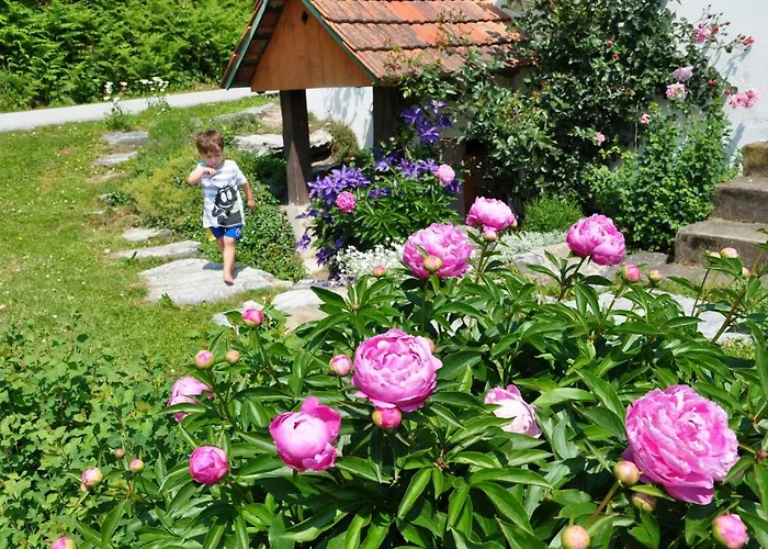 Сasa de vacaciones S' Kellerstoeckl *